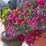 La Xana Domek alpejski